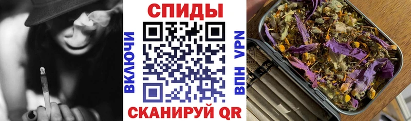 Купить  Саки  Бутират BDO 33% 