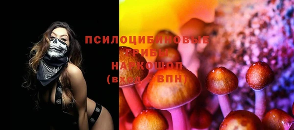 меф Ельня