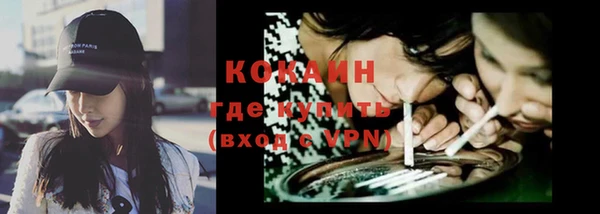 меф Ельня