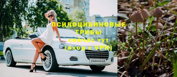 меф Ельня
