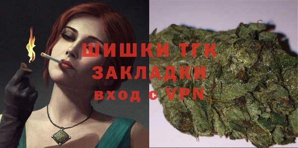 хмурый Елизово