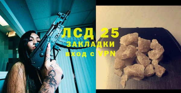 меф Ельня